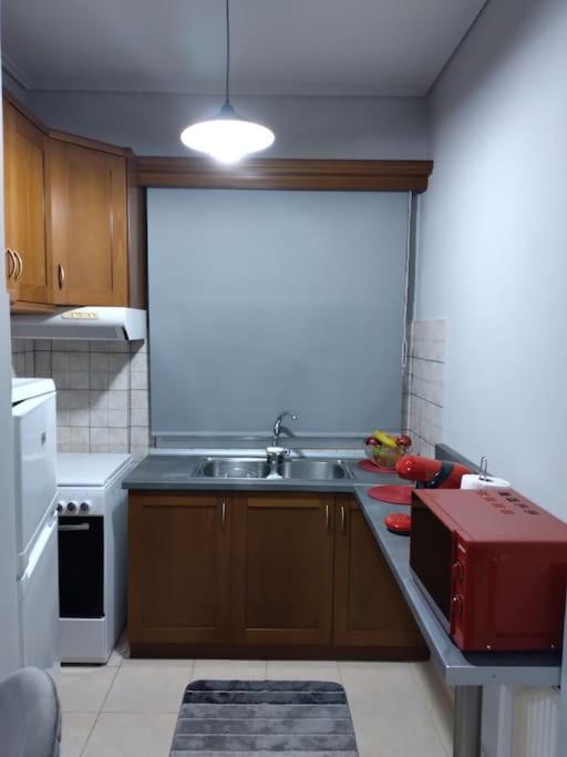 Χαίρε, Ξεΐνε, Παρ' Αμμι Φιλησεαι Apartment Trikala  Exterior photo