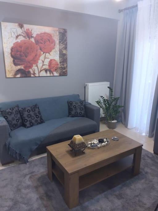Χαίρε, Ξεΐνε, Παρ' Αμμι Φιλησεαι Apartment Trikala  Exterior photo